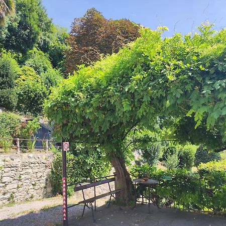 Villa Antonella, App. Vittoria Tavernerio Eksteriør billede