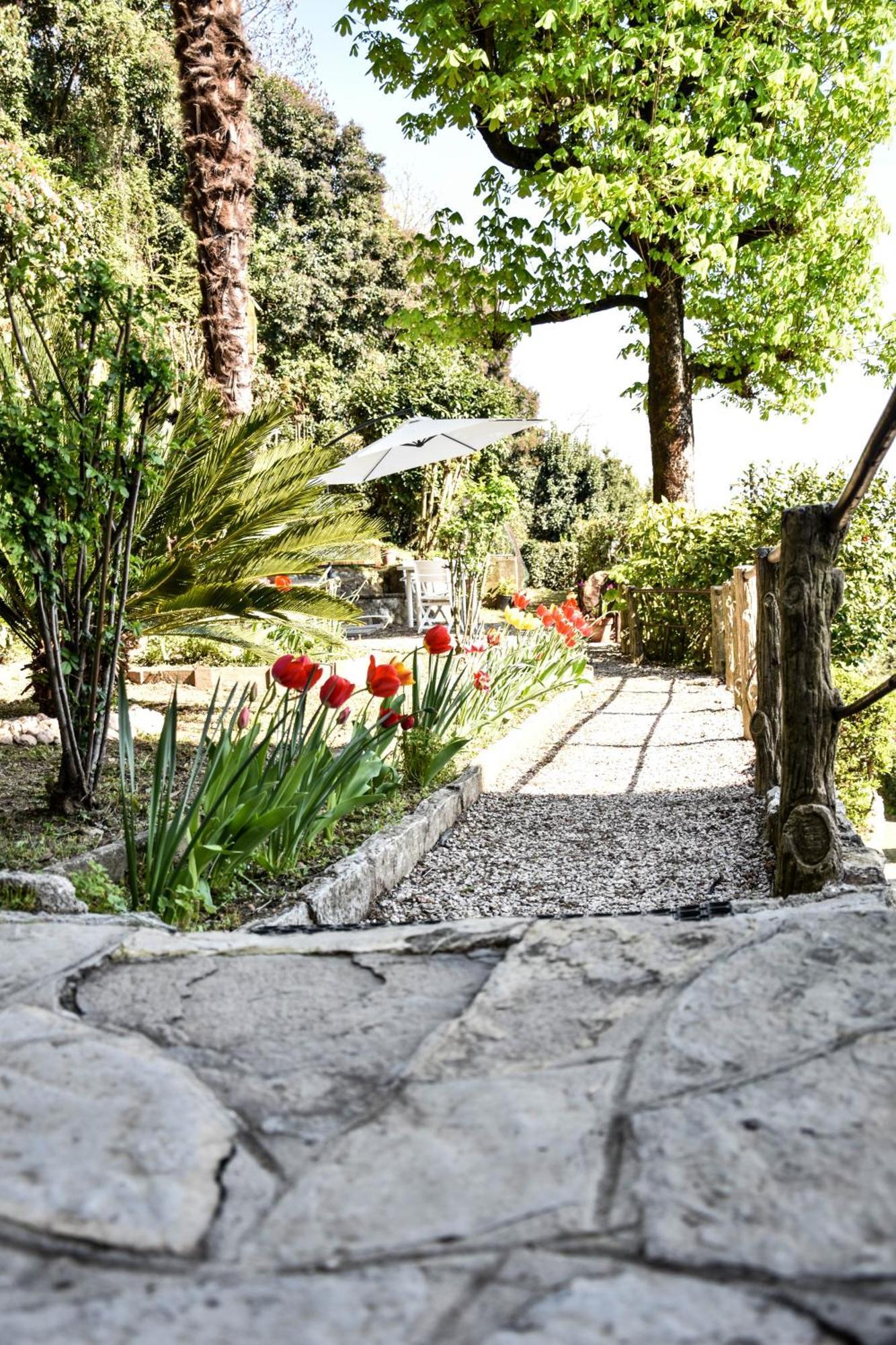 Villa Antonella, App. Vittoria Tavernerio Eksteriør billede