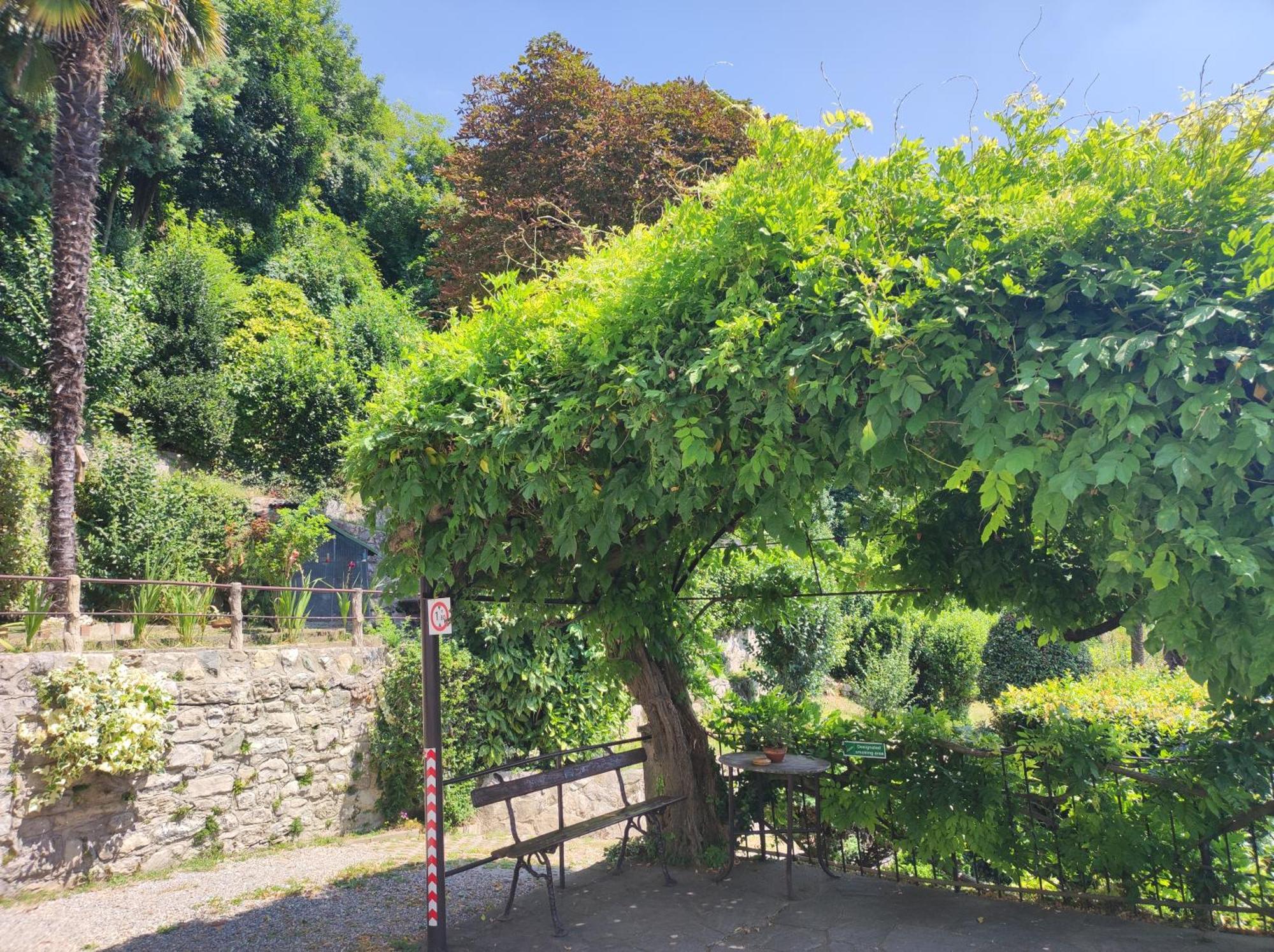 Villa Antonella, App. Vittoria Tavernerio Eksteriør billede